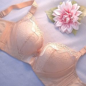 Lace Pushup/Minimizer Bra